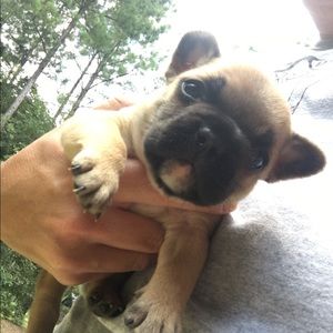 Meet your Posher, Katherine